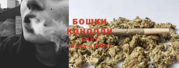 ECSTASY Белокуриха