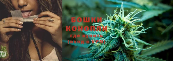 ПСИЛОЦИБИНОВЫЕ ГРИБЫ Белоозёрский