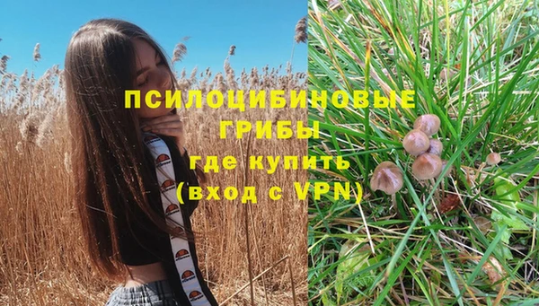 ECSTASY Белокуриха