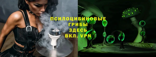 ECSTASY Белокуриха