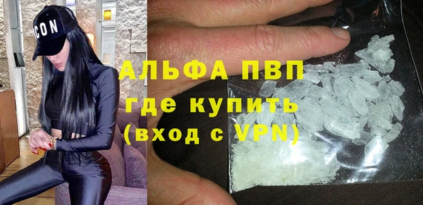 ECSTASY Белокуриха