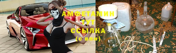 ECSTASY Белокуриха