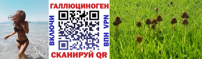 ОМГ ОМГ ссылки  Пестово  Псилоцибиновые грибы Cubensis 